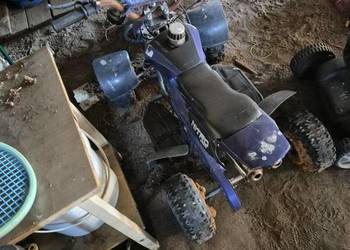 Quad