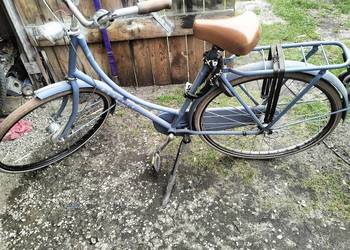 Rower gazelle clasic