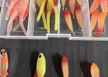 Przynęty Tanta i Pintal