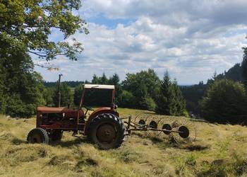 Kostki siana najwyższej jakości