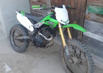 Diabolini  xb  31  250