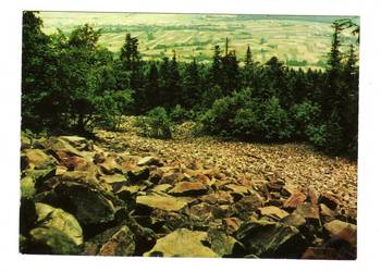 GÓRY ŚWIĘTOKRZYSKIE GOŁOBORZE