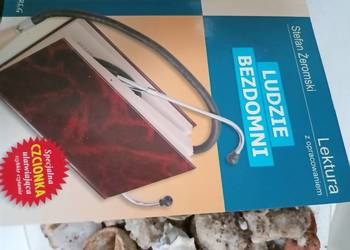 Ludzie bezdomni księgarnia internetowa Warszawa Bródno Praga