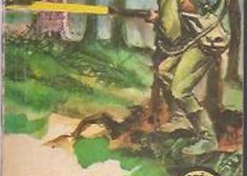 ŻÓŁTY TYGRYS - SMUGI OGNIA - WALCZUK E.