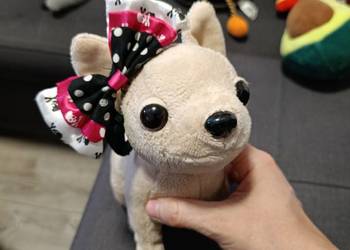 maskotka to pluszowy piesek z serii Chi Chi Love firmy Simba