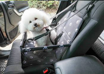 Transporter samochodowy dla zwierząt kota psa Petsi