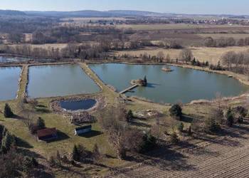 Łowisko wędkarskie z terenem rekreacyjnym niedaleko Wrocławia