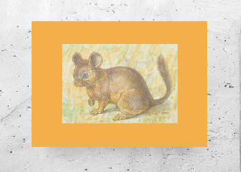 zoo obrazek A4, zwierzęta obrazek 21x30, zoo ilustracja, vintage plakat a4