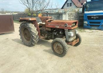 Massey Ferguson MF 135