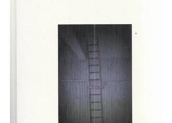 Neopragmatyzm Roberta B. Brandoma