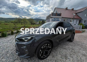 Cupra Terramar 2.0 TSI 265 KM 4x4 SUV DSG7