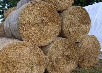 Bele słomy rozmiar 130