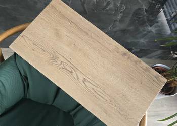PŁYTKA GRES LARICO BROWN 30x60 GAT.I ATEM