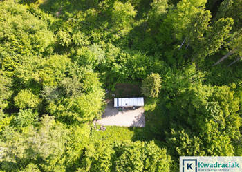 Działka Płowce 8242m2