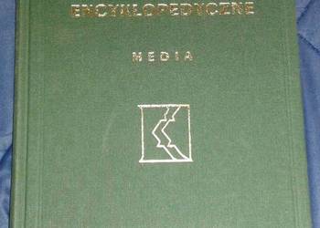 Aktualizacje Encyklopedyczne. Media - Tom 11 - J. Skrzypczak