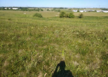 blisko do miasta i do lasu z działki