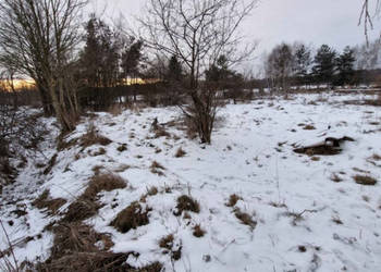 2000 m² Działki Budowlanej