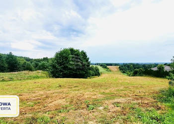 Sabaudia - działka w zielonej okolicy