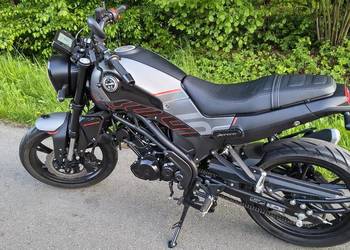 Benelli Leoncino 125 rok 2022 przebieg 2600 km