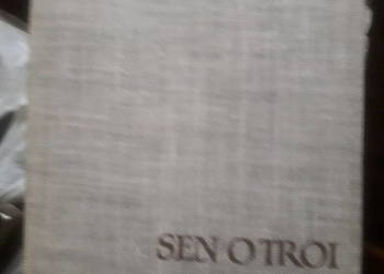 Sen o Troi, Heinrich Alexander Stoll