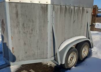 Przyczepa do przewozu koni