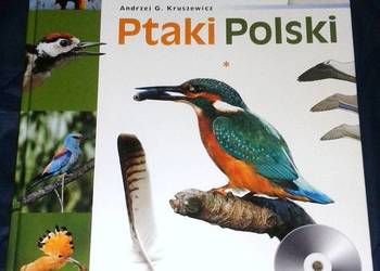 Ptaki Polski. Tom I - Andrzej G. Kruszewicz