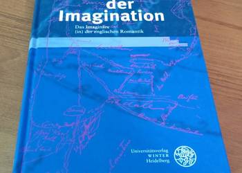 Zeit der Imagination das Imaginare der englischen Lobsien