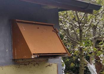 Wylot dla gołębi .