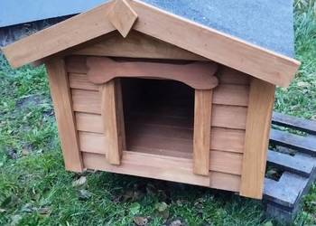 Buda dla psa