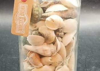 Szklany słój z muszelkami dekoracja marynistyczna