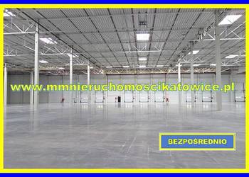 Centrum dystrybucyjne magazyny do wynajęcia łódzkie okolice Łowicza przy A2