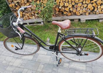 Rower mustang