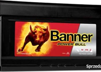 Akumulator 80Ah 700A Banner Power Bull
