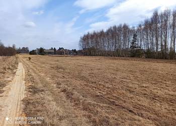 Sprzedam działki budowlane w Sadku 1000m2