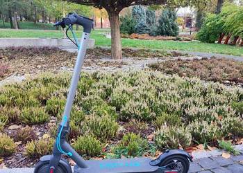 Hulajnoga elektryczna mouts scooty 8.5 2022