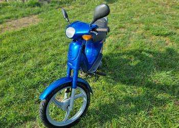 Piaggio velofax  50 z papierem