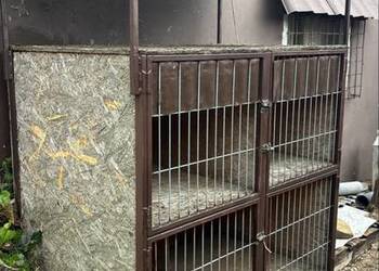 Klatka 145x200 Piętrowa dla Królików Kur Solidna Mocna Rama