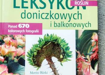 Leksykon roślin doniczkowych książki prezenty Bródno szkolne