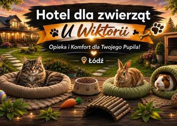 Hotel dla kotów i małych zwierząt - petsitterka