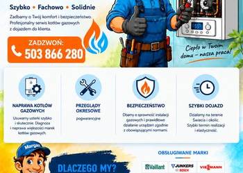 Serwis  naprawa kotłów  gazowych