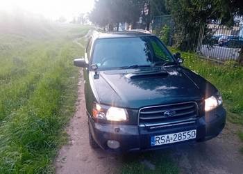 Subaru forester