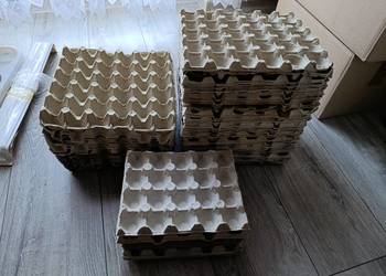 wytłaczanki pojemniki na jajka 50 sztuk