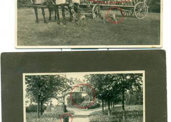 stara fotografia żniwa wóz konny pies rodzina pałac 2 szt