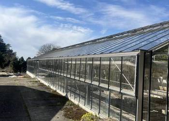 Szklarnia przemysłowa do rozbiórki 30m 10m