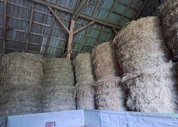 Siano 1 i 2 pokos 120x120