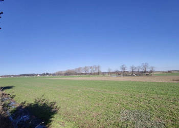 Działka 4752m2 Strzeżewko