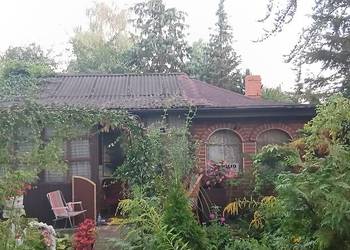 Działka ROD Gaj, ul. Janowiecka 77