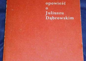 Czerwony Harcmistrz - Kazimierz Koźniewski