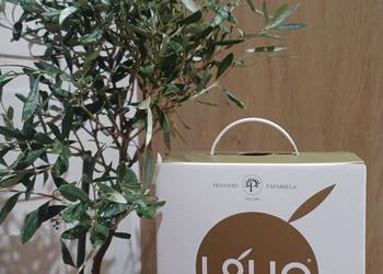 Włoska oliwa extra virgin Fruttato coratina 5l