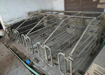 Kojce pojedyńcze dla loch, klatka dla loc